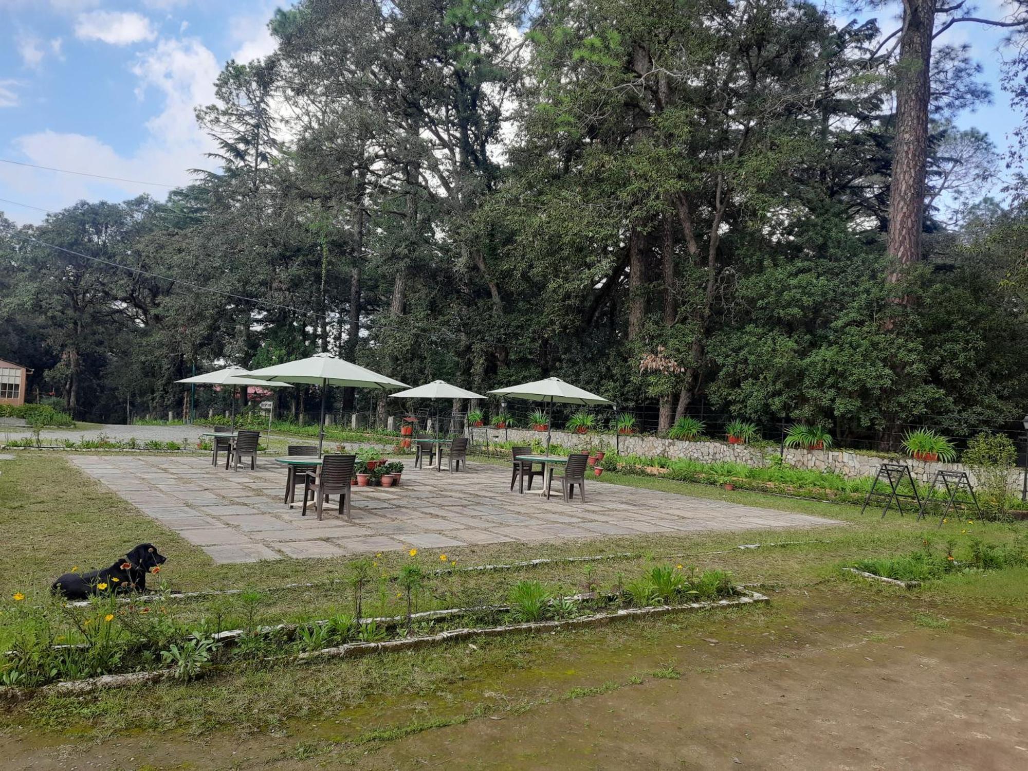 West View Hotel Ranikhet Εξωτερικό φωτογραφία